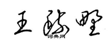 梁錦英王疏野草書個性簽名怎么寫