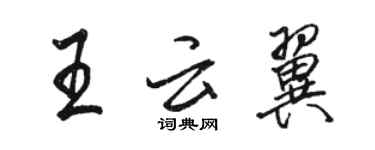 駱恆光王雲翼行書個性簽名怎么寫