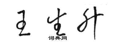 駱恆光王生升草書個性簽名怎么寫