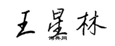 王正良王星林行書個性簽名怎么寫