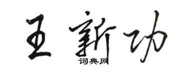 駱恆光王新功行書個性簽名怎么寫