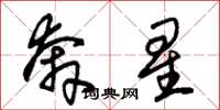 朱錫榮奔星草書怎么寫
