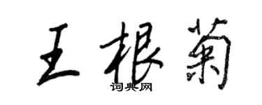 王正良王根菊行書個性簽名怎么寫