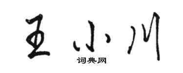 駱恆光王小川行書個性簽名怎么寫
