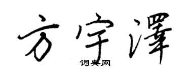 王正良方宇澤行書個性簽名怎么寫