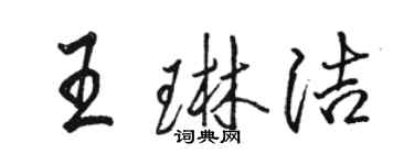 駱恆光王琳潔行書個性簽名怎么寫