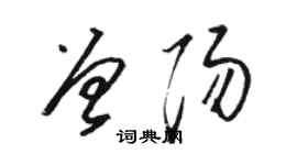 駱恆光曾陽草書個性簽名怎么寫