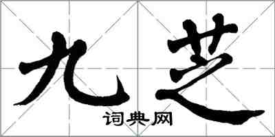 翁闓運九芝楷書怎么寫