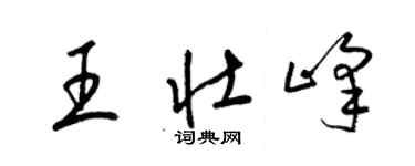 梁錦英王壯峰草書個性簽名怎么寫