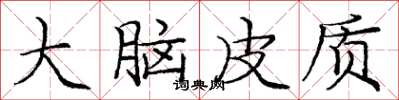 龐中華大腦皮質楷書怎么寫