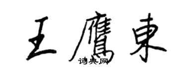 王正良王鷹東行書個性簽名怎么寫