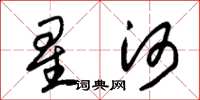 朱錫榮星河草書怎么寫