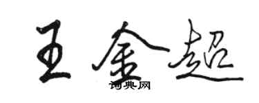 駱恆光王金超行書個性簽名怎么寫