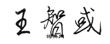 駱恆光王智或行書個性簽名怎么寫