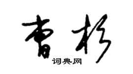 朱錫榮曹杉草書個性簽名怎么寫