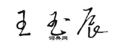 駱恆光王玉辰草書個性簽名怎么寫