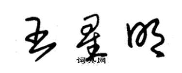 朱錫榮王星明草書個性簽名怎么寫