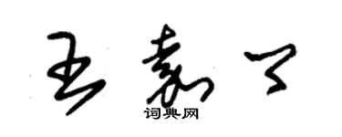 朱錫榮王嘉卿草書個性簽名怎么寫