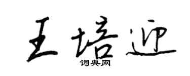 王正良王培迎行書個性簽名怎么寫