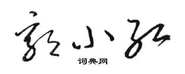 駱恆光郭小紅草書個性簽名怎么寫
