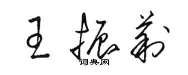 駱恆光王振莉草書個性簽名怎么寫