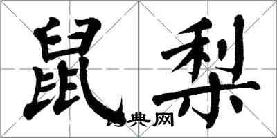 翁闓運鼠梨楷書怎么寫