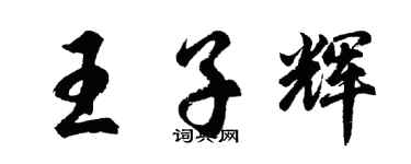 胡問遂王子輝行書個性簽名怎么寫