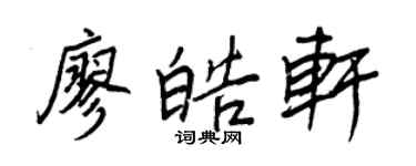 王正良廖皓軒行書個性簽名怎么寫