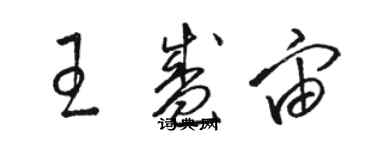 駱恆光王盛宙草書個性簽名怎么寫