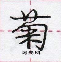 龐中華寫的硬筆行書菊