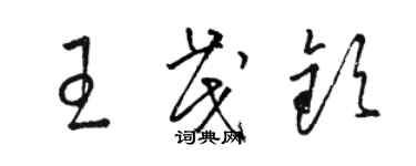 駱恆光王茂欽草書個性簽名怎么寫