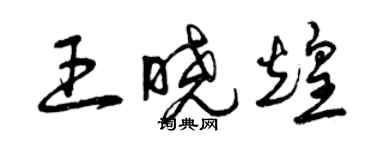 曾慶福王曉煌草書個性簽名怎么寫