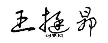 曾慶福王挺昂草書個性簽名怎么寫