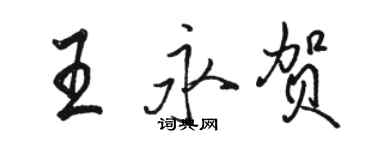 駱恆光王永賀行書個性簽名怎么寫