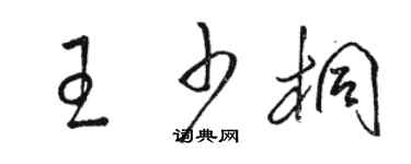 駱恆光王少桐草書個性簽名怎么寫