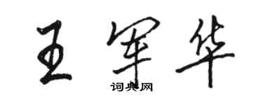 駱恆光王軍華行書個性簽名怎么寫