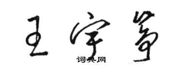 駱恆光王宇箏草書個性簽名怎么寫