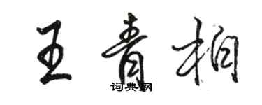 駱恆光王青柏行書個性簽名怎么寫