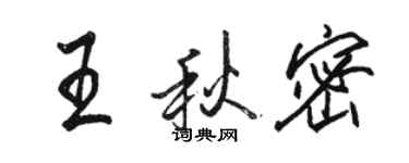 駱恆光王秋密行書個性簽名怎么寫