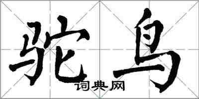 翁闓運駝鳥楷書怎么寫