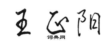 駱恆光王正陽行書個性簽名怎么寫