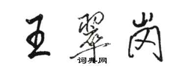 駱恆光王翠崗行書個性簽名怎么寫