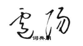 駱恆光盧陽草書個性簽名怎么寫