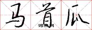 錢沛雲馬首瓜行書怎么寫