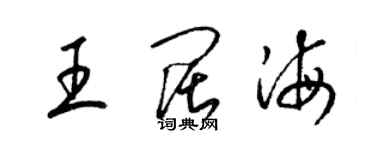 梁錦英王闊海草書個性簽名怎么寫