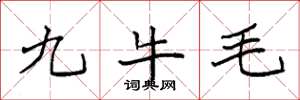 袁強九牛毛楷書怎么寫