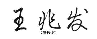 駱恆光王兆發行書個性簽名怎么寫