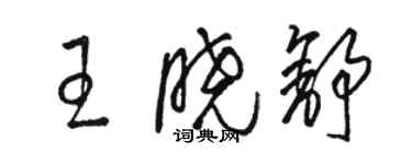 駱恆光王曉舒草書個性簽名怎么寫