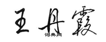 駱恆光王丹霞行書個性簽名怎么寫