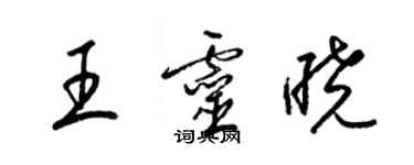 梁錦英王靈曉草書個性簽名怎么寫